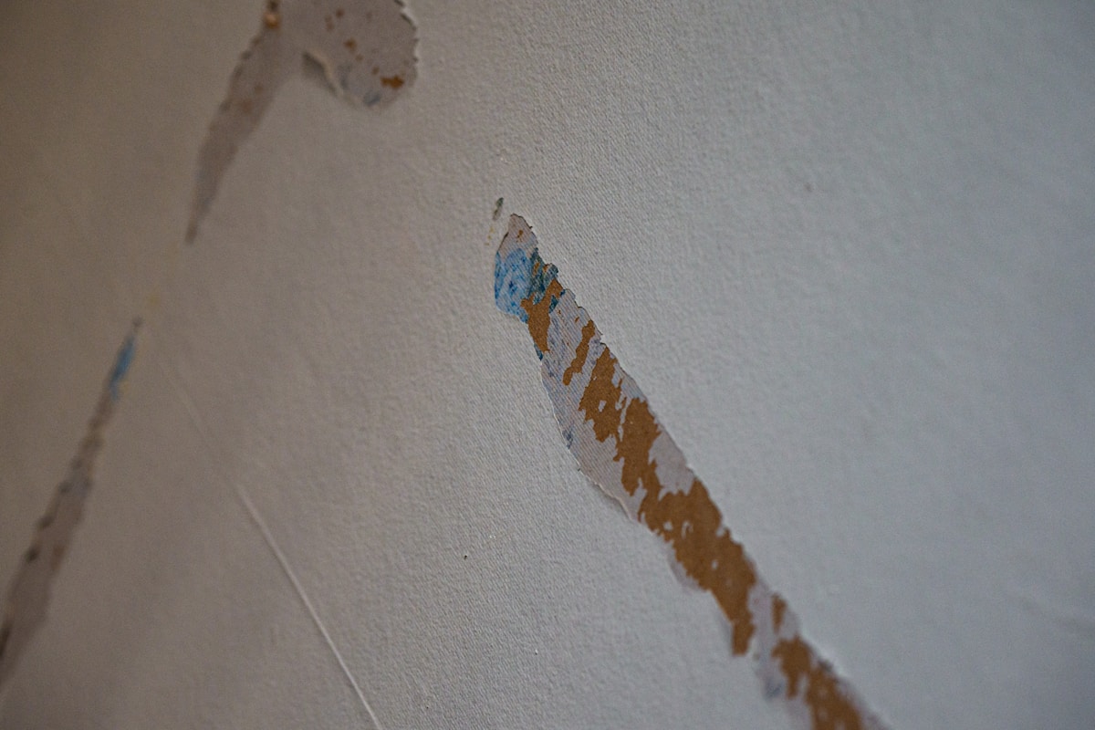 Flood Cleanup service in Fort Worth, TX